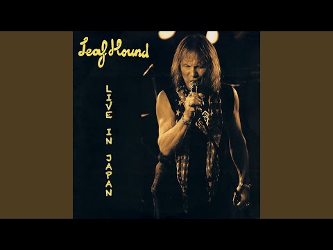 Freelance Fiend (Live)