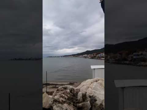 Boş Çerçeve (Trompet) Kucukkuyu/Liman