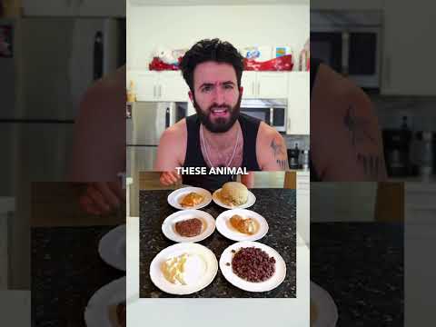 Animal vs plant protein!