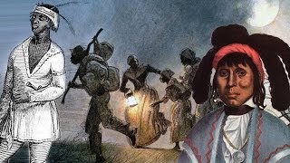 Rebellion: Black Seminoles and the Largest Slave Revolt in U.S. History