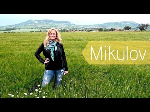 Průvodce na cestách: Mikulov a Pálava
