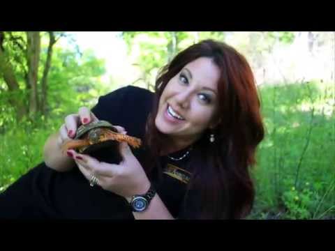Meet Jimmy Irwin, the Box Turtle!