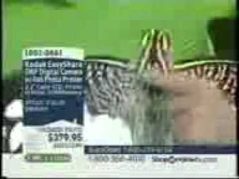 H263 AMR QCIF - Horse.3gp