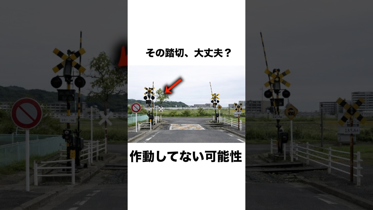 【教習が正解】踏切確認、実はガチで必要だった　#車初心者 #一発試験