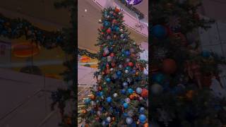 Christmas Has Arrived On Carnival Vista #shorts #carnivalcruise #cruise #christmas #carnivalvista