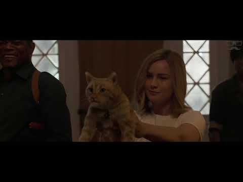 Captain Marvel | That's Not A Cat | That's A Flerken | Brie Larison | 2019
