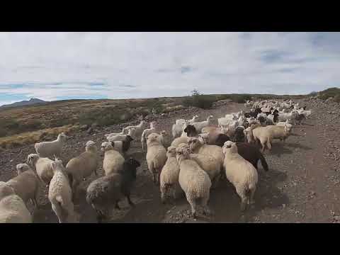 Caviahue - El Cholar en motos