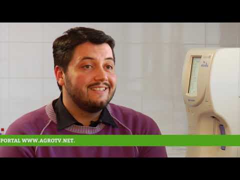 Reč struke ep. 135 12.12.2017. - Visoka produkcija mleka, metabolizam mlečnih krava