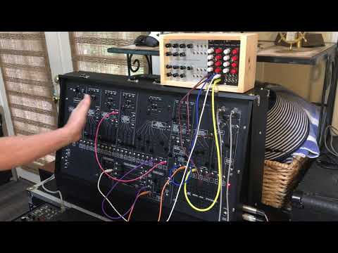 Zebra Synth Z506 Swiss Daisy DSP - Eurorack Multi-Function  Voice, Delay, Reverb image 5