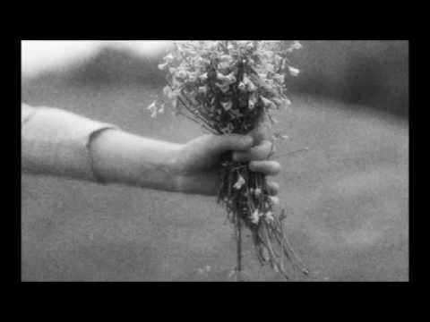 Century -  Lover Why , Why Do Flowers Die  - 1986