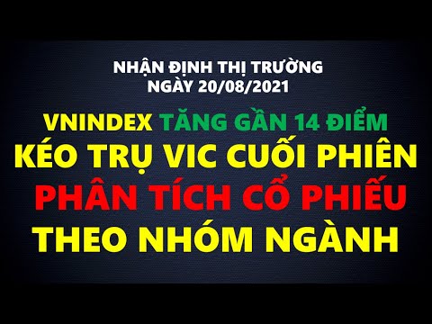 Chứng khoán hôm nay | Thị trường ngày 20/8: Vnindex kéo mạnh phiên ATC, Phân tích danh mục cổ phiếu