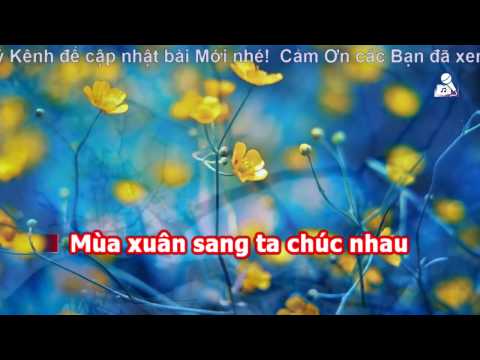 Karaoke Chúc Tết [ Beat Chuẩn ]