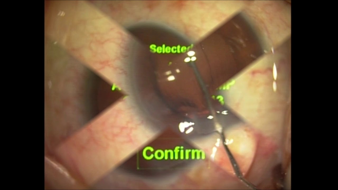 Miguel Angel Ibañez Hernandez-31