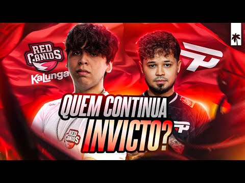 PAIN vs RED: O MELHOR TIME DO BRASIL | FXW7 vs LEV | LTA Sul
