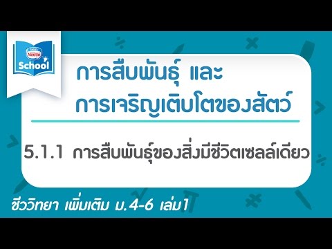 สั่งซื้อครีมลดเต้านม เดือน enlarge หน้าอกเช่น