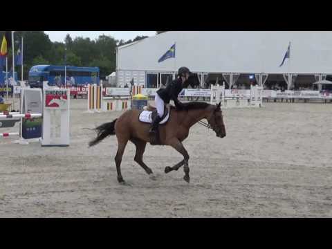 Alimca Z (Asca x Limbus) 4yo Zangersheide