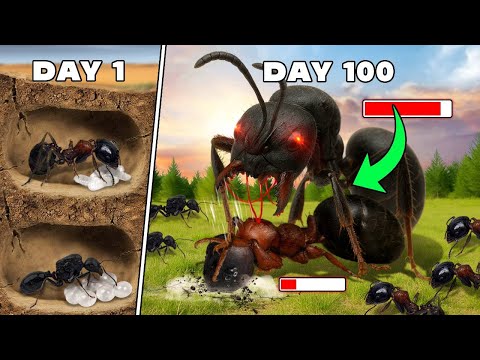Simulating a Bullet Ant Colony for 30 days 😱 ANTTREK