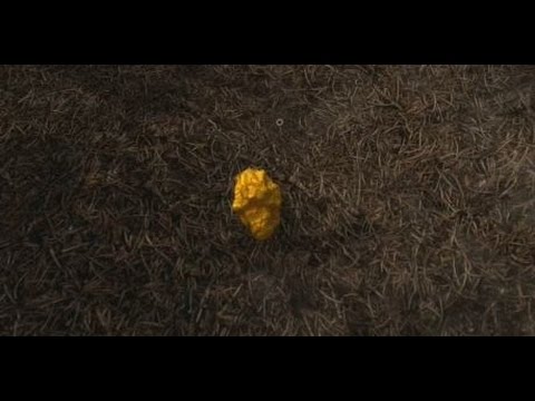 Farming Simulator 17 "All 100 Gold Nugget Locations Goldcrest Valley"