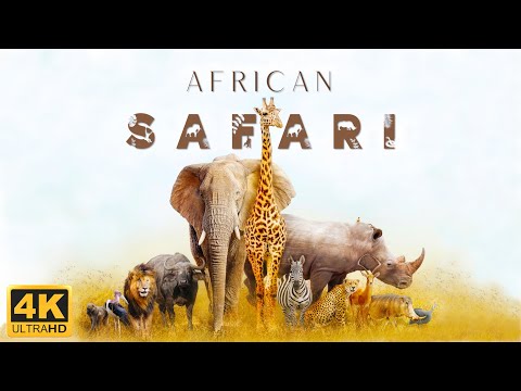 African Safari 4K • Scenic Wildlife Film With African Music