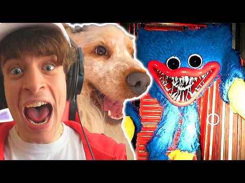 IO e VERA giochiamo a POPPY PLAYTIME!! (Huggy Wuggy)