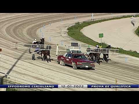 Aversa trotto 12 Gennaio 2022 - Prova di qualifica