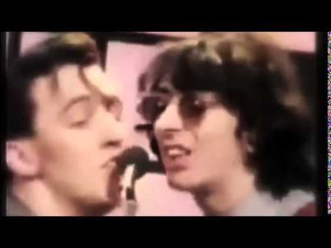 The Bluebells "Exile On Twee Street"