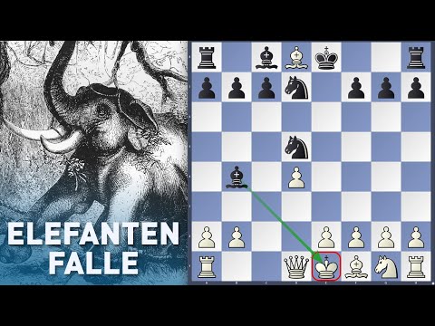 Fiese Eröffnungsfalle gegen Damengambit || Elefanten-Falle
