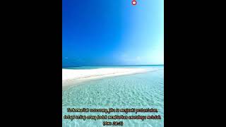 Download lagu Story Wa Rohani Kristen 30 detik // Story Wa Rohani // Story Wa Lagu Rohani // Story Wa Kristen mp3