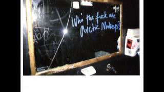 Arctic Monkeys - Despair In The Departure Lounge