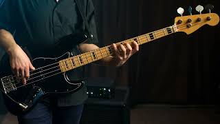 Primus - Mary The Ice Cube (bass solo)