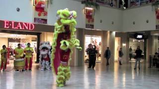 Video : China : Lion Dance at the Oriental Plaza mall, BeiJing 北京