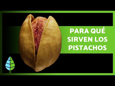 Benefits of Pistachios ✅ (Medicinal Properties, How to Eat Them and Contraindications)
