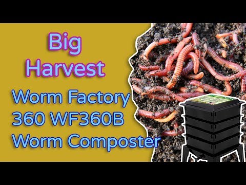 Worm Factory 360 WF360B Worm Composter Review - Big Harvest