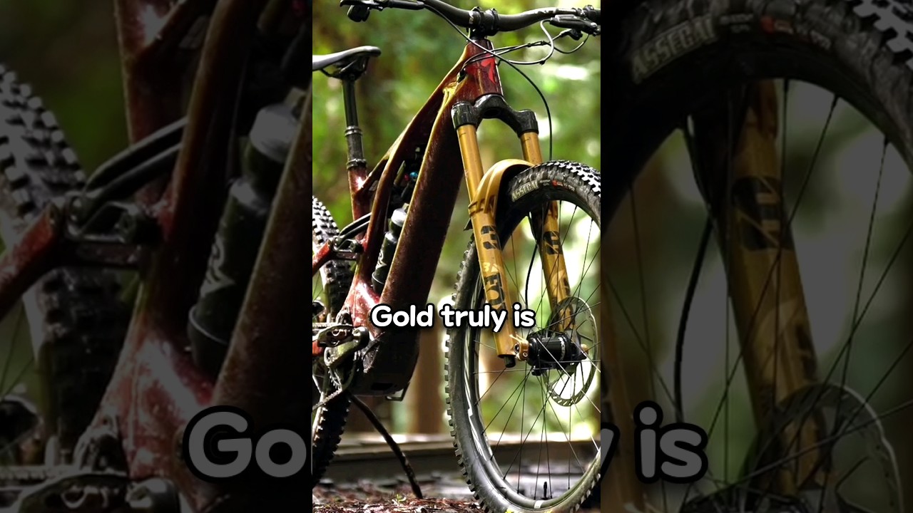 Limited Edition Fox Fork: Love at First Sight, But.. #ebike #mountainbike