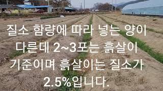 친환경고추밭 퇴비 어떤걸 넣어야 할까?