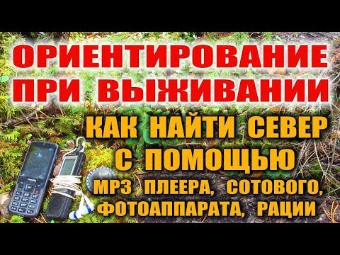 КАК НАЙТИ СЕВЕР В ЛЕСУ. Ориентирование без компаса. Ориентирование на местности с помощью MP3, ФОТО.