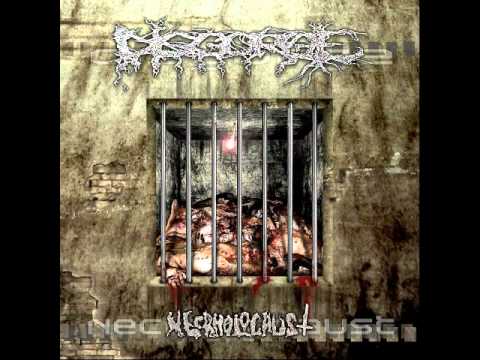 Disgorge - Necroholocaust