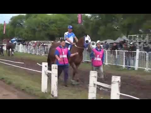 Presentación de La Socia, Realeza Lake, Luna Negra. Hipico La Diosa, 3 Isletas Chaco 