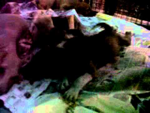 Internship at Friendeco's