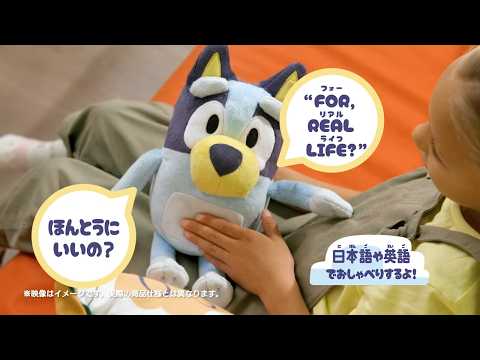 ブルーイ　CM　「おしゃべりブルーイ・おしゃべりビンゴ」と「ブルーイファミリーのおうち」
