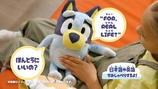 ブルーイ　CM　「おしゃべりブルーイ・おしゃべりビンゴ」と「ブルーイファミリーのおうち」