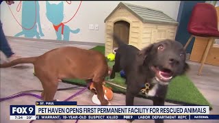 Minnesota animal rescue Pet Haven opens facility to bring people together