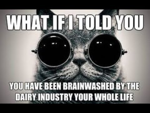 Milk is murder!!!!!!