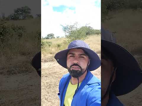 sertão de Candeal ba #viral #fazenda #nordeste