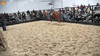 Schmitty’s Horse Sale & Preview, Applington, IA