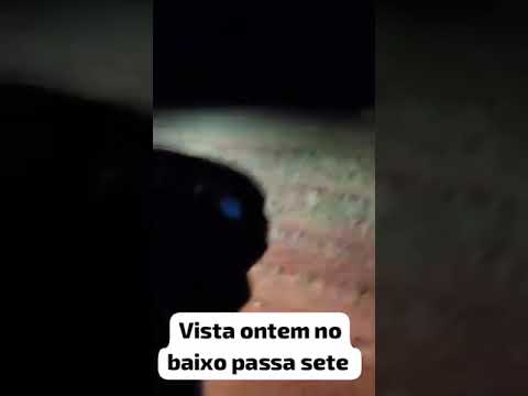 Vídeo do WhatsApp de 2024 11 26 às 16 47 15 a90b5218