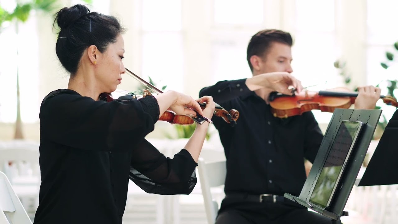 Can’t Take My Eyes Off You | String Quartet at Piper Palm House, Tower Grove Park