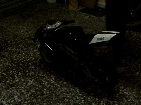 blaca replica with hebo