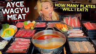Download lagu HOW MANY PLATES CAN I EAT UNLIMITED WAGYU MEAT at ... mp3
