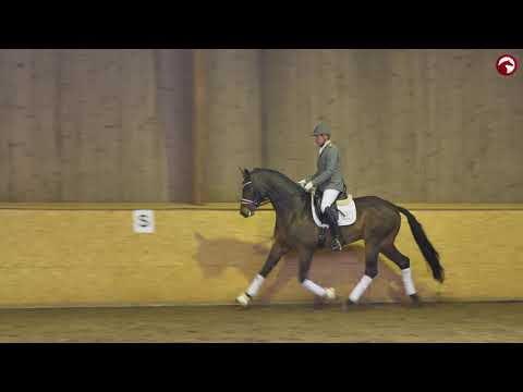 Bourbon *2016 v. Baccardi - Lissaro